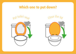 Toilet lid or seat - Which one to put down, Infographic